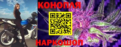 mdpv Аргун