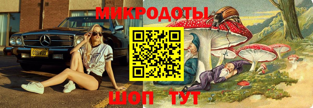 Псилоцибиновые грибы GOLDEN TEACHER Владимир