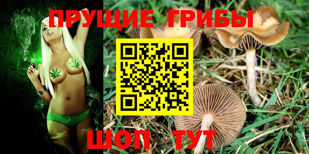 МЕФ   Владимир  Кокаин  Вход с VPN  ГАШИШ  ГАШ  Конопля 