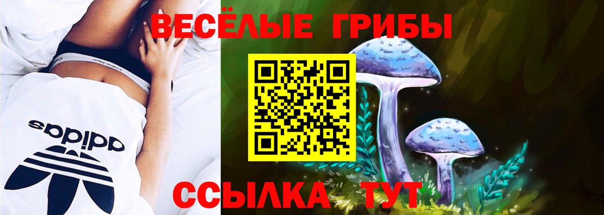Псилоцибиновые грибы MAGIC MUSHROOMS  Вход с VPN  Владимир 