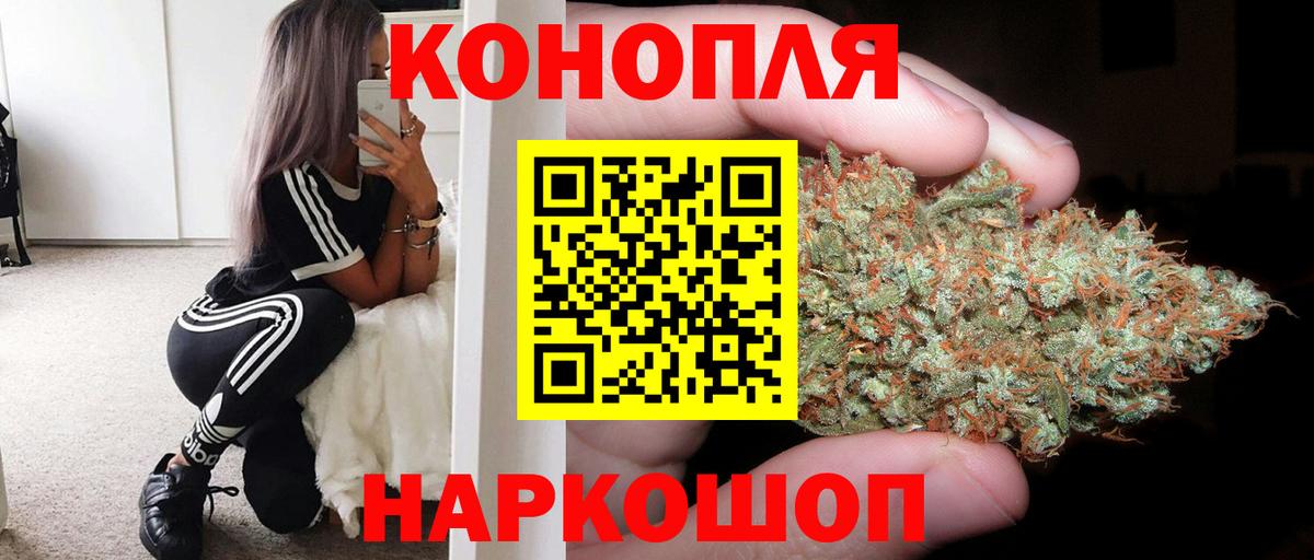 Каннабис SATIVA & INDICA Владимир
